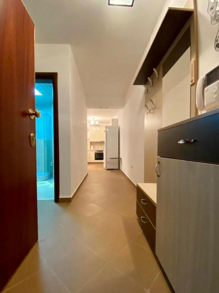 Apartment Liza Petrovac Exterior photo